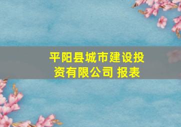 平阳县城市建设投资有限公司 报表